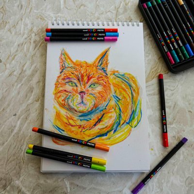 POSCA Pastel Набор из 24 ПАСТЕЛЕЙ (карандаши без оправы) в подарочном кейсе, Япония